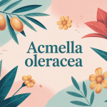 illustration acmella oleracea plante botox végétal