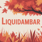liquidambar inconvénient feuillage rouge automne
