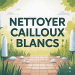 nettoyer cailloux blancs javel propre jardin moderne