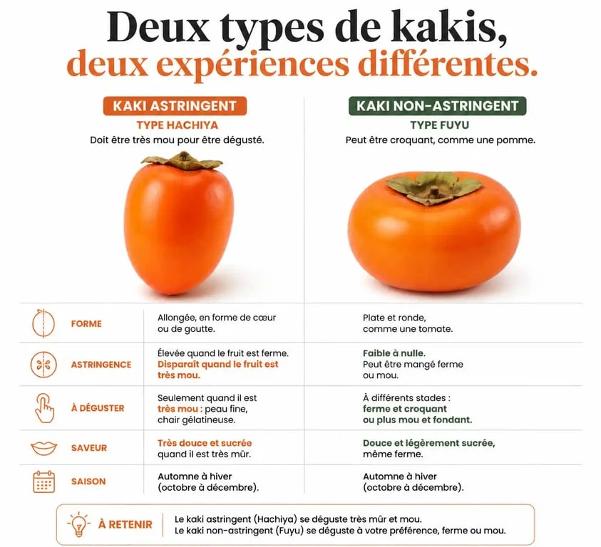 Infographie comparative des variétés de kakis astringents et non-astringents pour savoir comment identifier et manger un kaki.