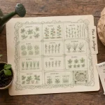 Potager plan : structurer l’espace et maximiser les récoltes